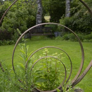 Détail végétal du Jardin d’Arsac